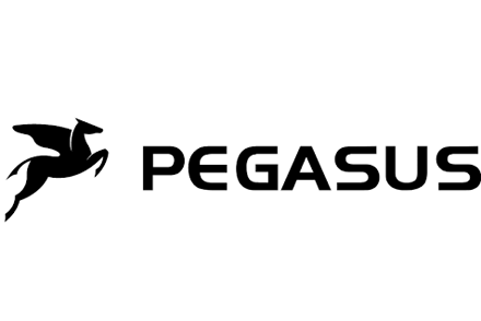 Pegasus